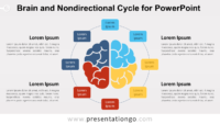 Brain Cycle for PowerPoint