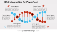 Free DNA Helix for PowerPoint