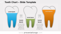 Free Tooth Chart for PowerPoint and Google Slides
