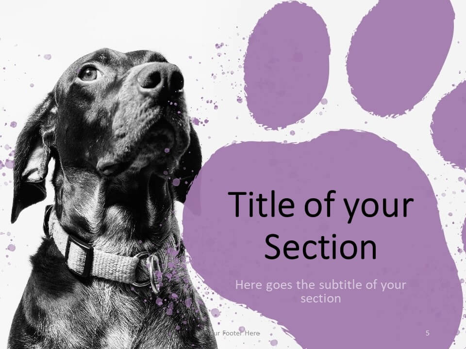 Pets Template For PowerPoint And Google Slides PresentationGO Pets Template For PowerPoint And Google Slides PresentationGO