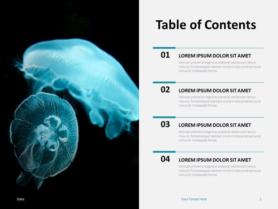 Table of Contents for PowerPoint and Google Slides