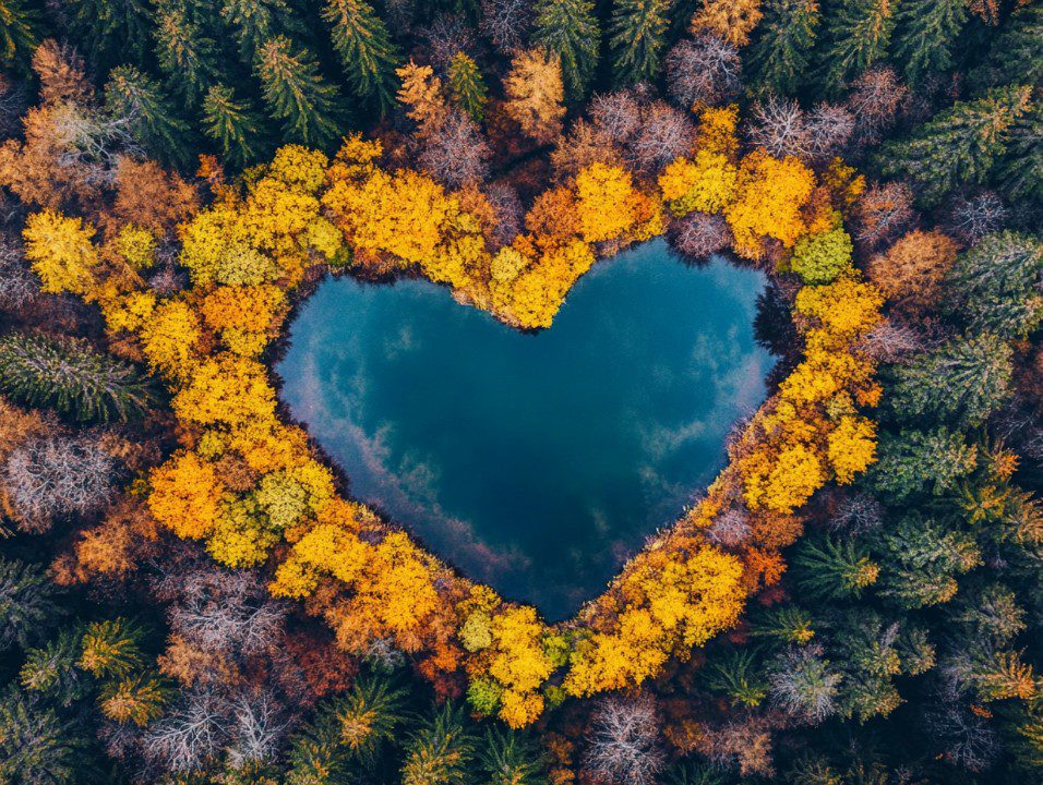 Aerial photo of a heart-shaped lake surrounded by colorful autumn trees, captured from above in a vibrant seasonal forest.