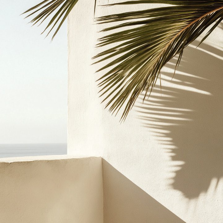 Palm leaf casting elegant shadows on a minimalist white Mediterranean-style wall under bright natural sunlight.