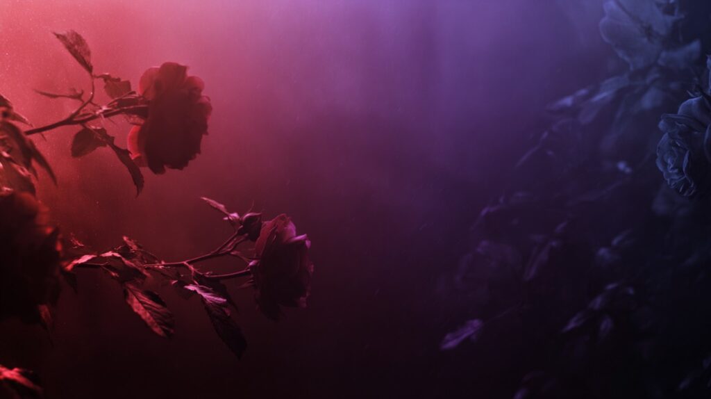 Dark textured black background featuring subtle red and purple roses and leaves, creating an elegant and moody visual.