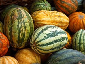 Assortment of pumpkins and gourds in various colors and shapes, including green and yellow striped varieties.