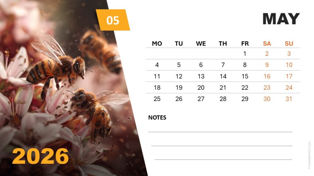 May 2026 Seasonal Photo Calendar (Monday Start) May 2026 calendar layout with bee and flower image, editable Monday-start week for PowerPoint and Google Slides