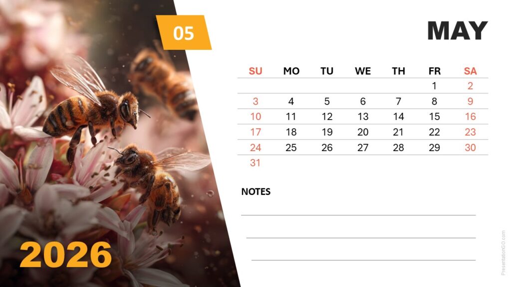 May 2026 slide showing bees and blossoms with Sunday-start calendar for PowerPoint and Google Slides