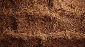 Close-up view of stacked hay bales forming a rustic, textured wall, ideal for backgrounds or seasonal farm-related visuals.